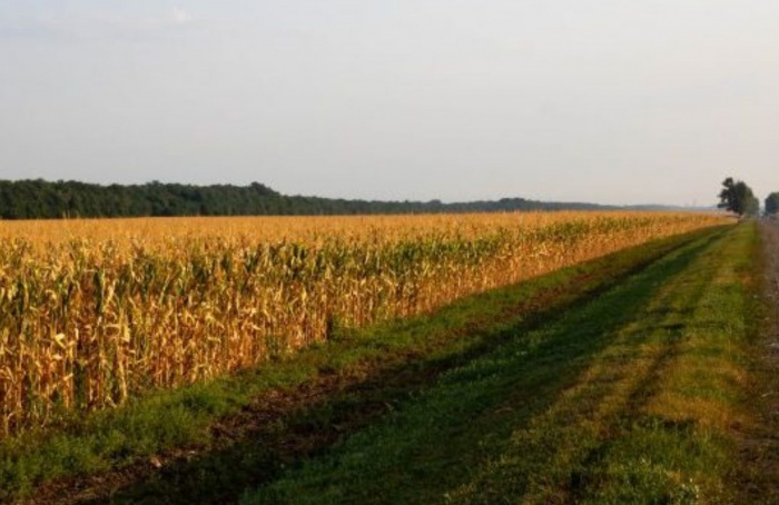 Projeto propõe ampliar uso agrícola às margens de rodovias
