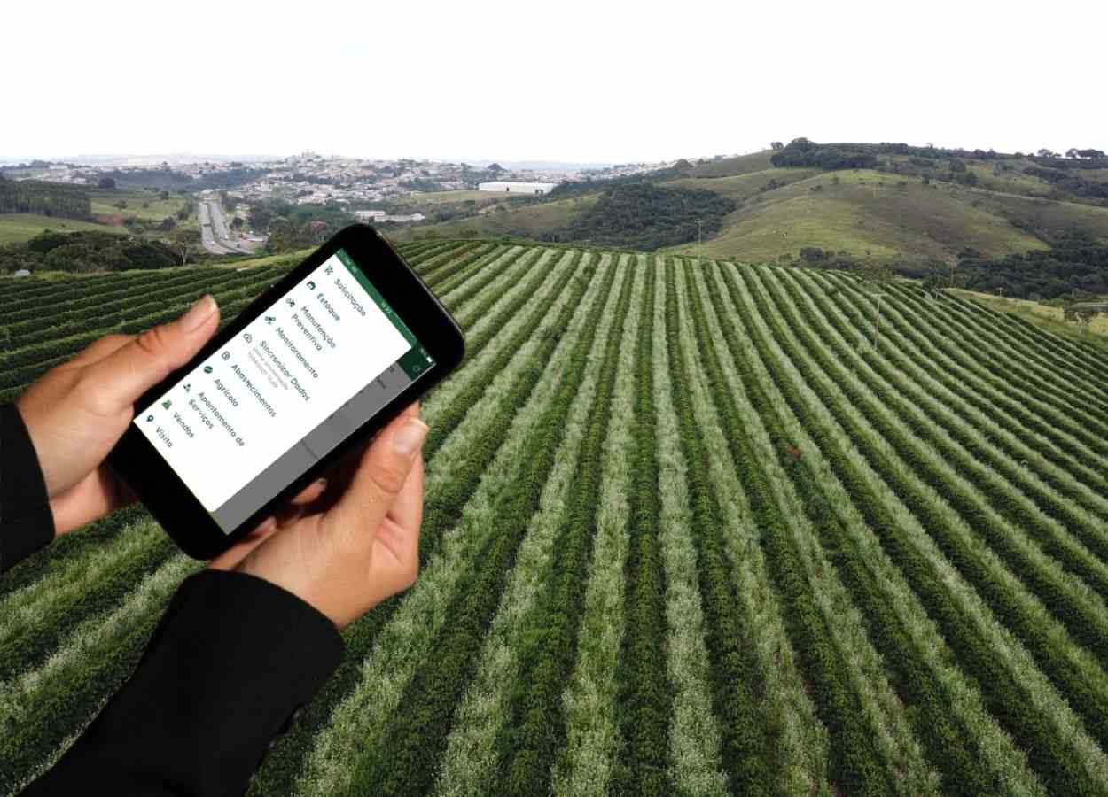 Epamig adota software para gestão de campos de café