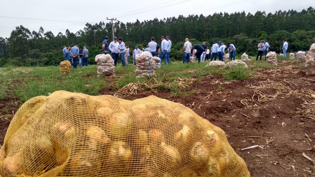 Cebolic growers from Minas Gerais visit production area in Santa Catarina