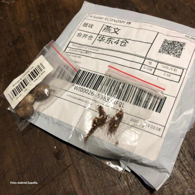 Cidasc alerta produtores sobre pacotes de sementes recebidos da China