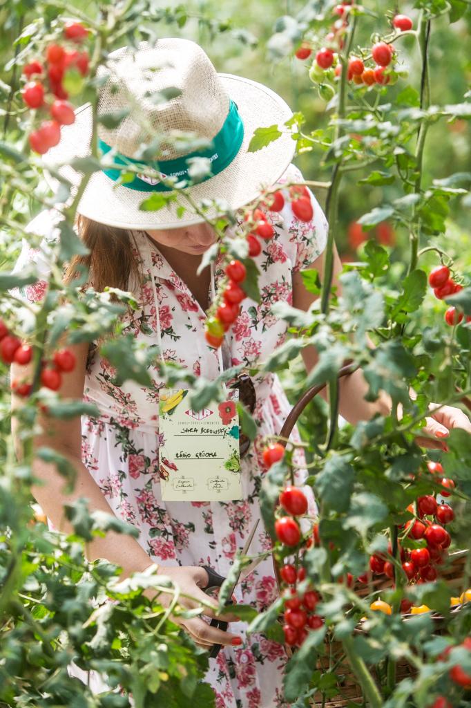 ​Isla Sementes reúne influenciadores e chefs em encontro que estimula alimentação mais saudável