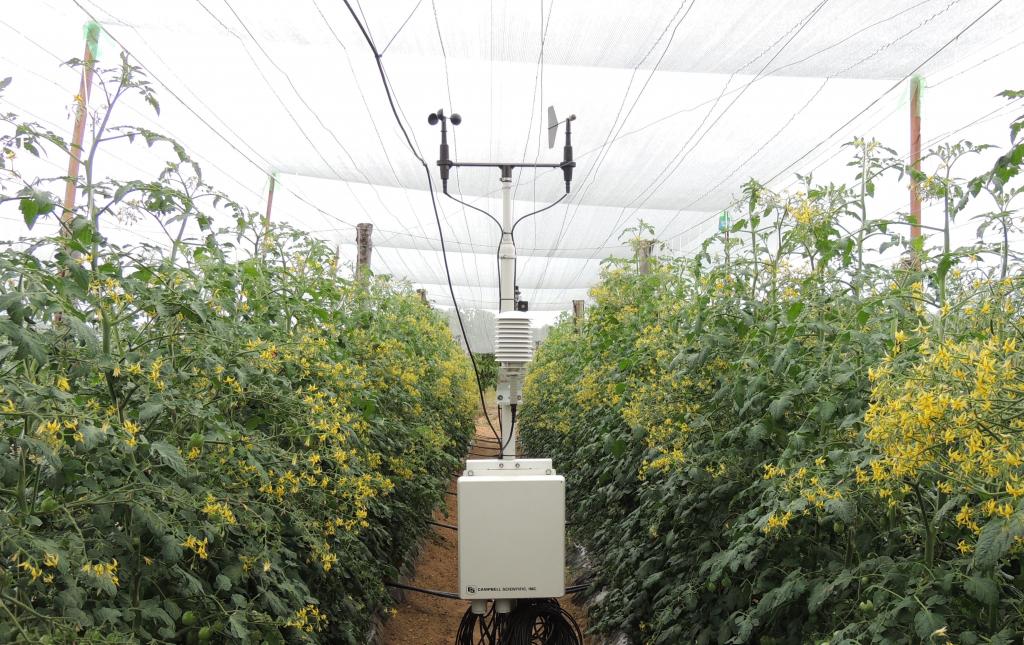 Evento discute a agrometeorologia na resolução de problemas do setor agrícola
