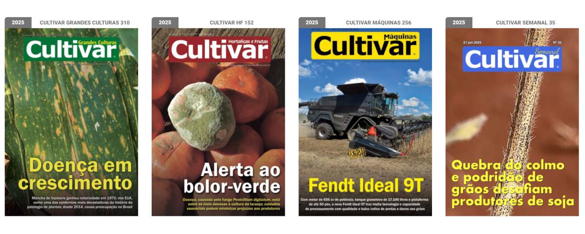 Capas - 2025