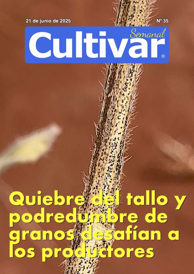 Cultivar Semanal 35