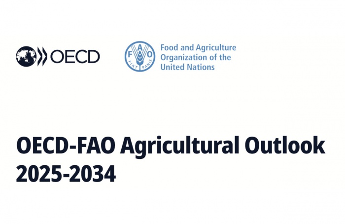 Produzir mais e poluir menos é desafio até 2034, diz FAO