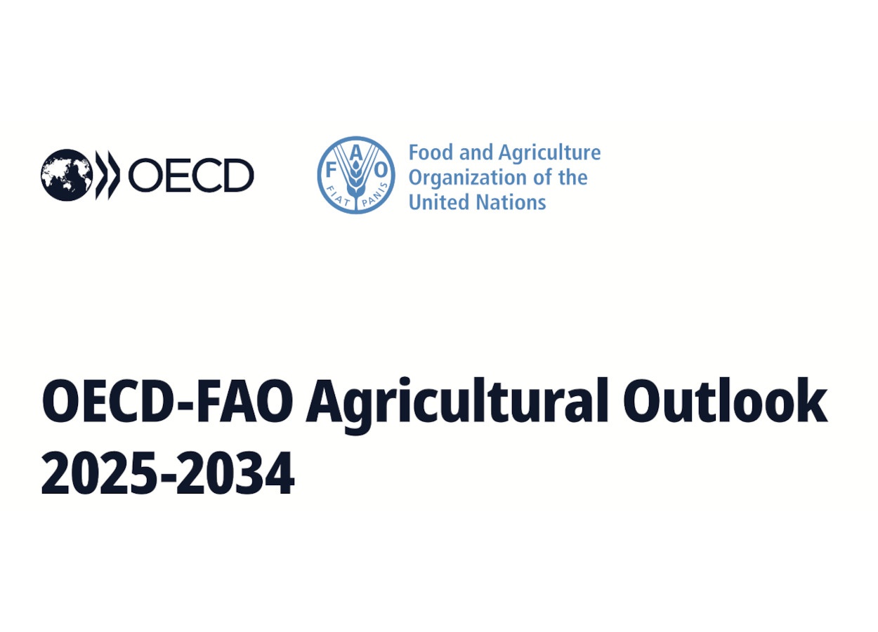 Produzir mais e poluir menos é desafio até 2034, diz FAO