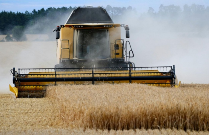 Crédito rural soma R$ 65,7 bilhões na agricultura empresarial