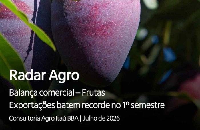 Exportações de frutas batem recorde no primeiro semestre