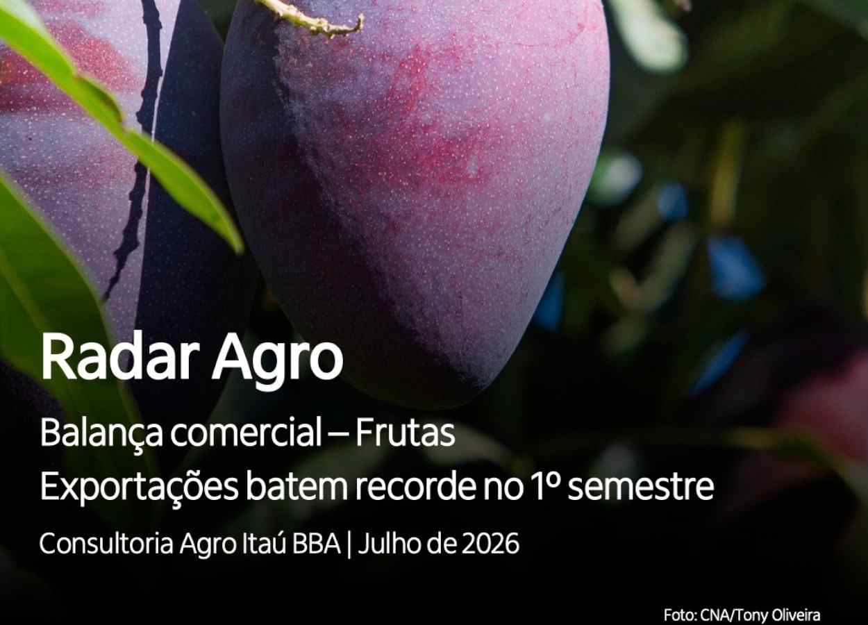 Exportações de frutas batem recorde no primeiro semestre