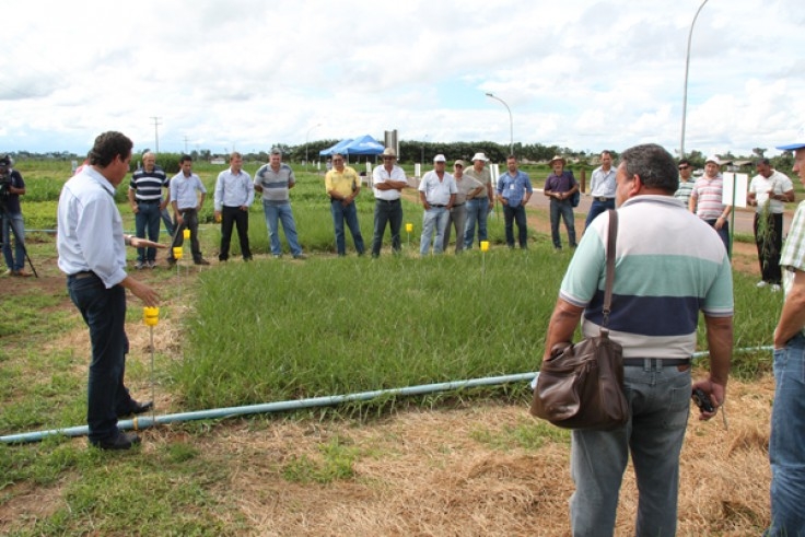 Embrapa realiza módulo introdutório de capacitação para atender novos técnicos de Mato Grosso