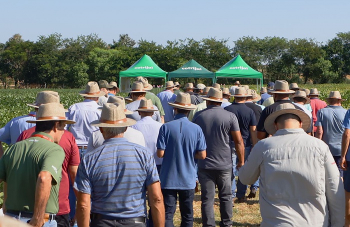 Cotrijal 2025 recebe 1,2 mil produtores rurais em dia de campo