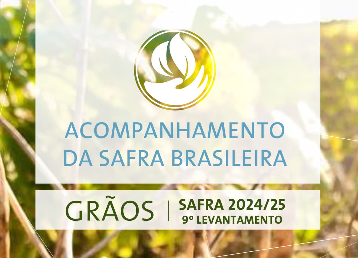 Conab divulga nono levantamento da safra 2024/25