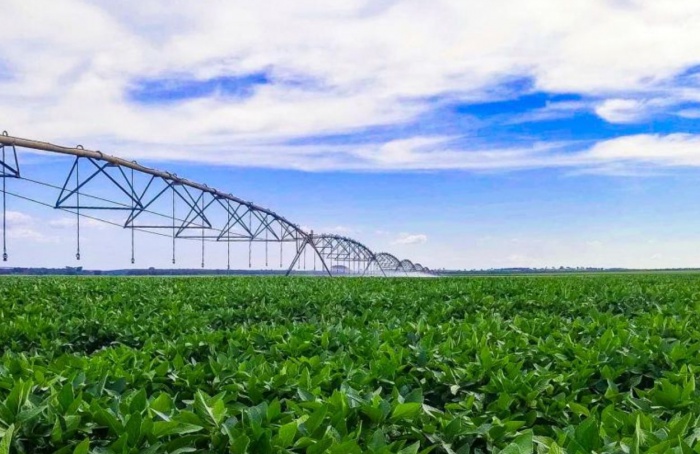 Irrigação impulsiona a agricultura sustentável em MS