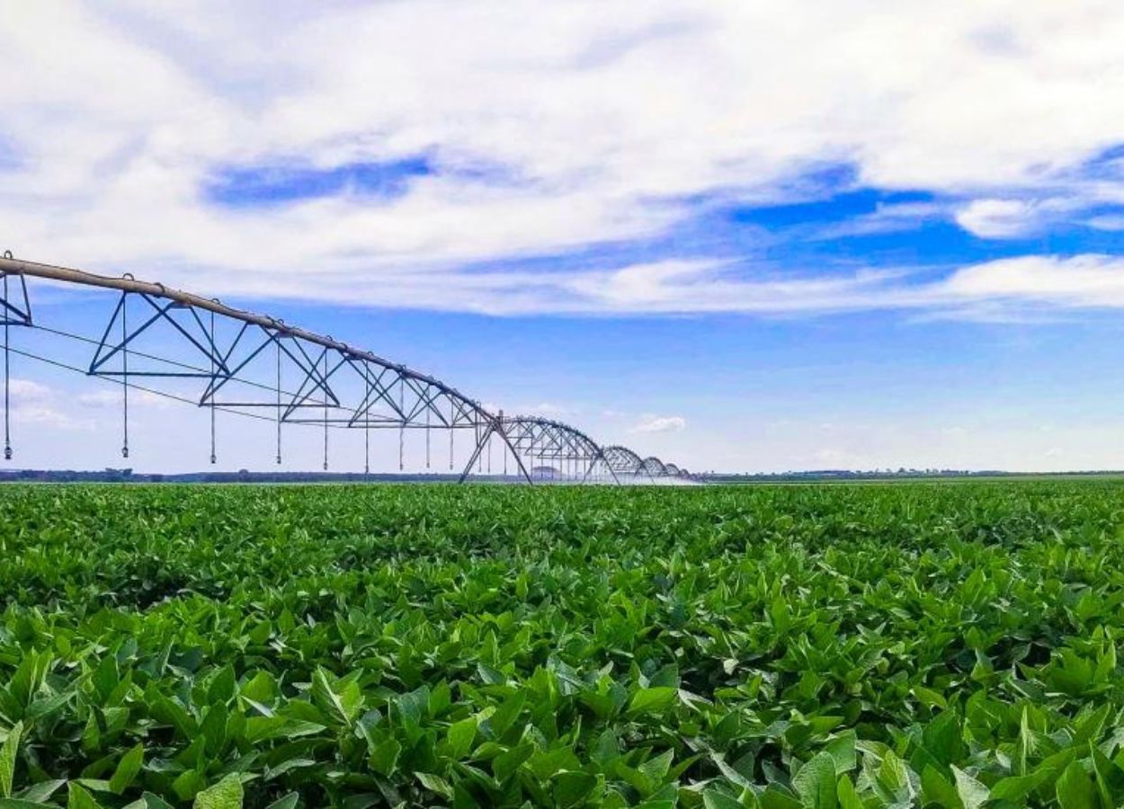 Irrigação impulsiona a agricultura sustentável em MS