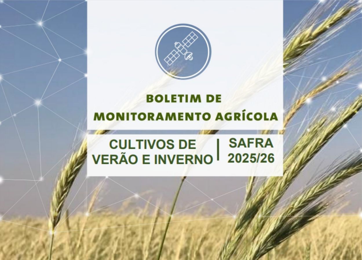 Tempo seco favorece colheita de milho e algodão no Brasil