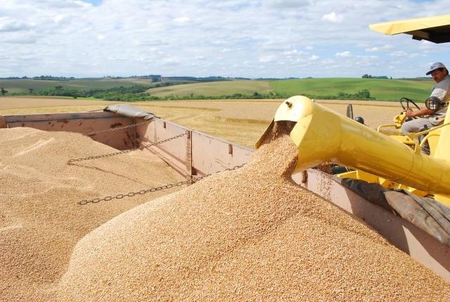 Valor da Produção Agropecuária é de R$ 578,2 bilhões