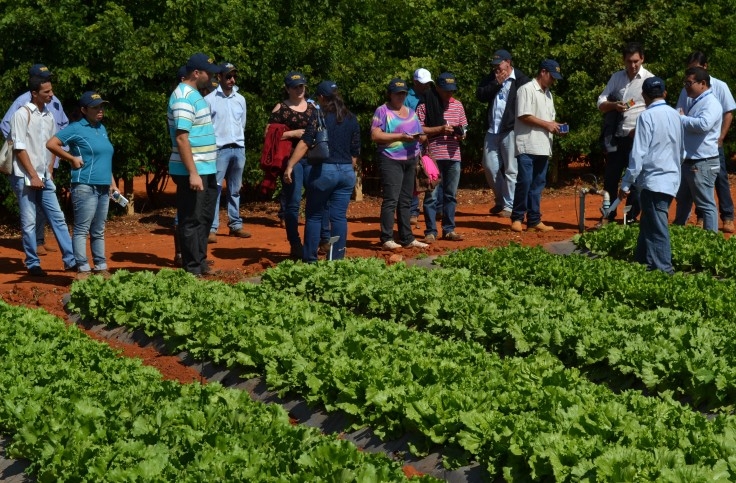 Agristar abre sua fábrica para viveiristas de hortaliças de São Paulo