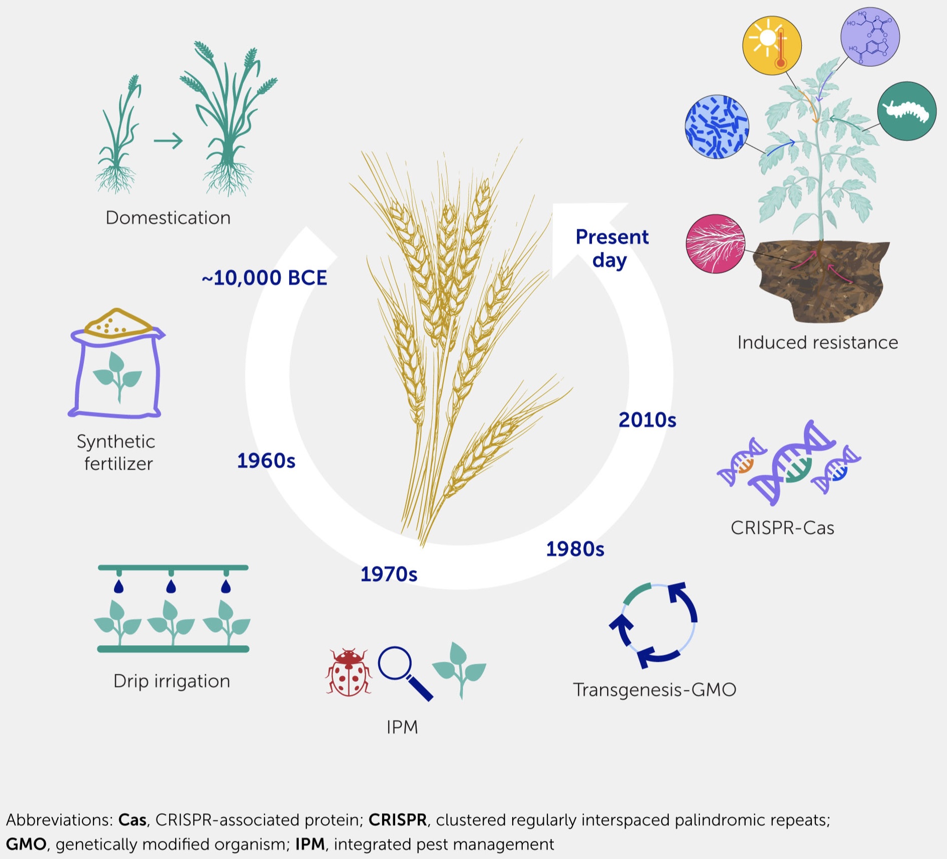 Ao longo da história da agricultura, vários eventos tiveram um enorme impacto na produtividade. A primeira grande mudança foi a domesticação de espécies selvagens, seguida pela aplicação de fertilizantes e a melhoria do gerenciamento de água. Usando técnicas modernas, culturas transgênicas com características genéticas melhoradas foram desenvolvidas. Posteriormente, a busca por técnicas mais sustentáveis, como o manejo integrado de pragas, e técnicas menos invasivas baseadas na edição genética começou. Cientistas propõem o gerenciamento da resistência induzida como um dos principais eventos que impactarão a agricultura