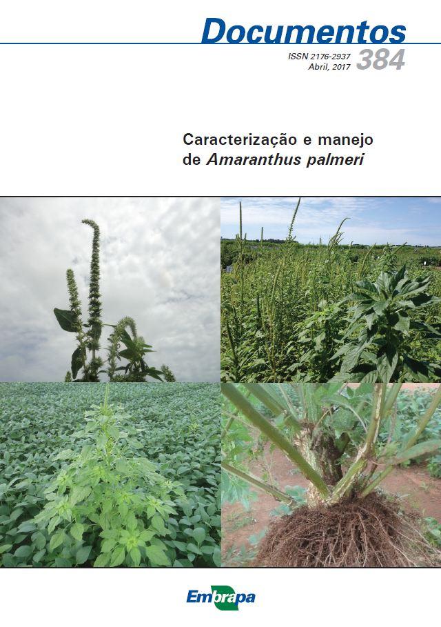 Publicação ajuda a identificar e prevenir o temido Amaranthus palmeri