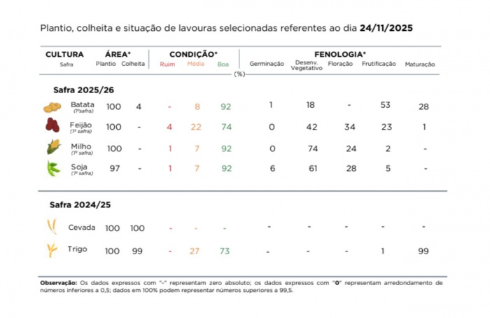 PR Safra 2025/26: plantio da soja entra na fase final