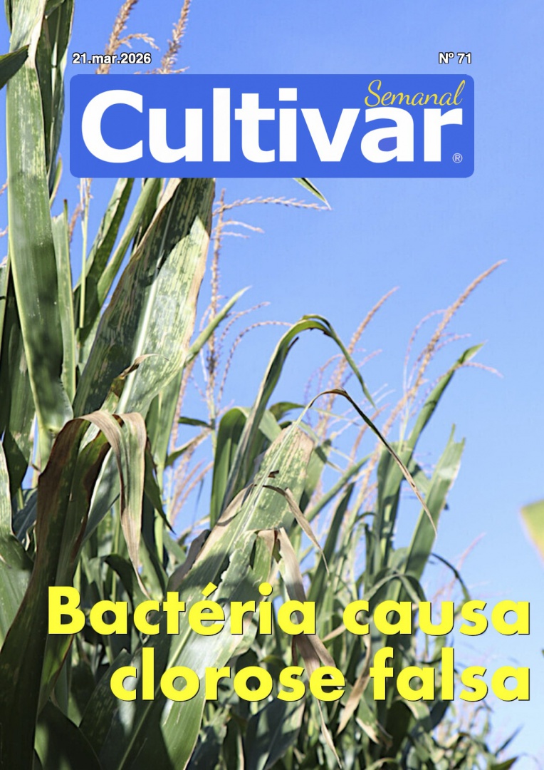 Cultivar Semanal 71