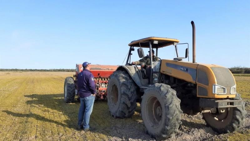 Produtores de arroz começam a semeadura da safra 2020/2021