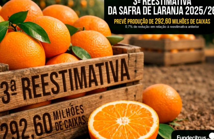 Fundecitrus estima safra de laranja em 292,6 milhões de caixas