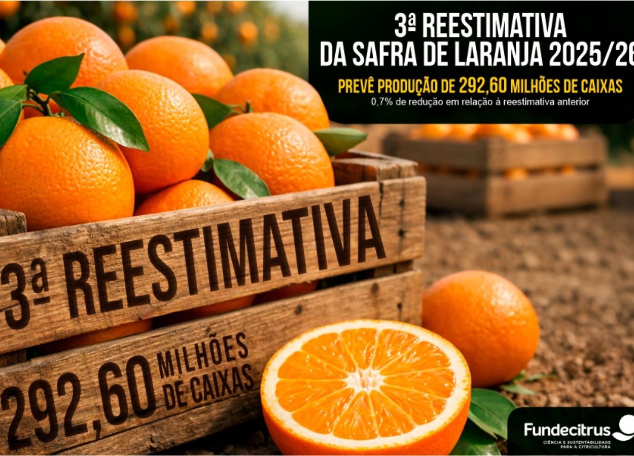 Fundecitrus estima safra de laranja em 292,6 milhões de caixas