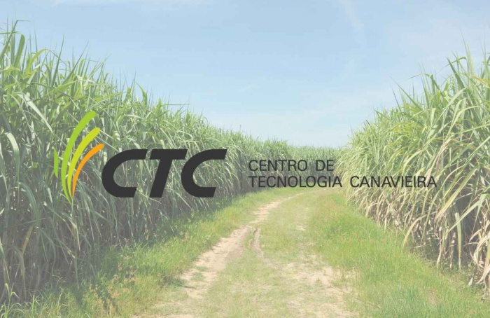 CTC registra lucro recorde de R$ 175,7 mi na safra 2024/25