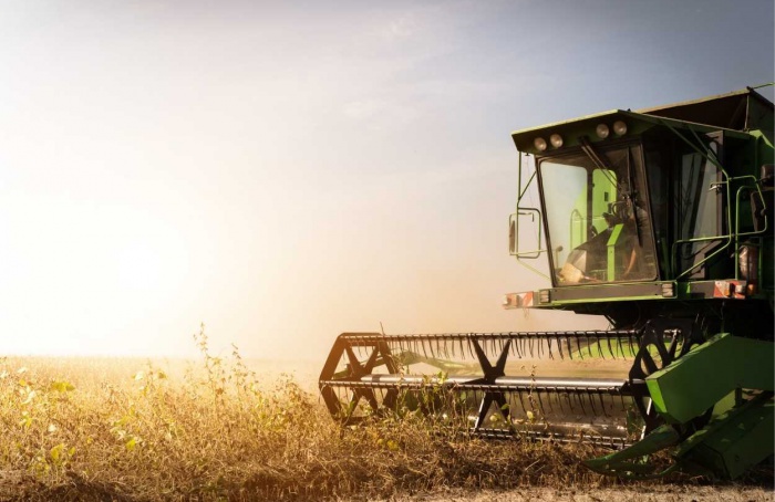 Clima favorável deve impulsionar a produção de soja do Paraguai