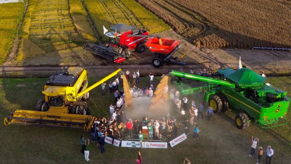 Foto: Nestor Tipa Júnior