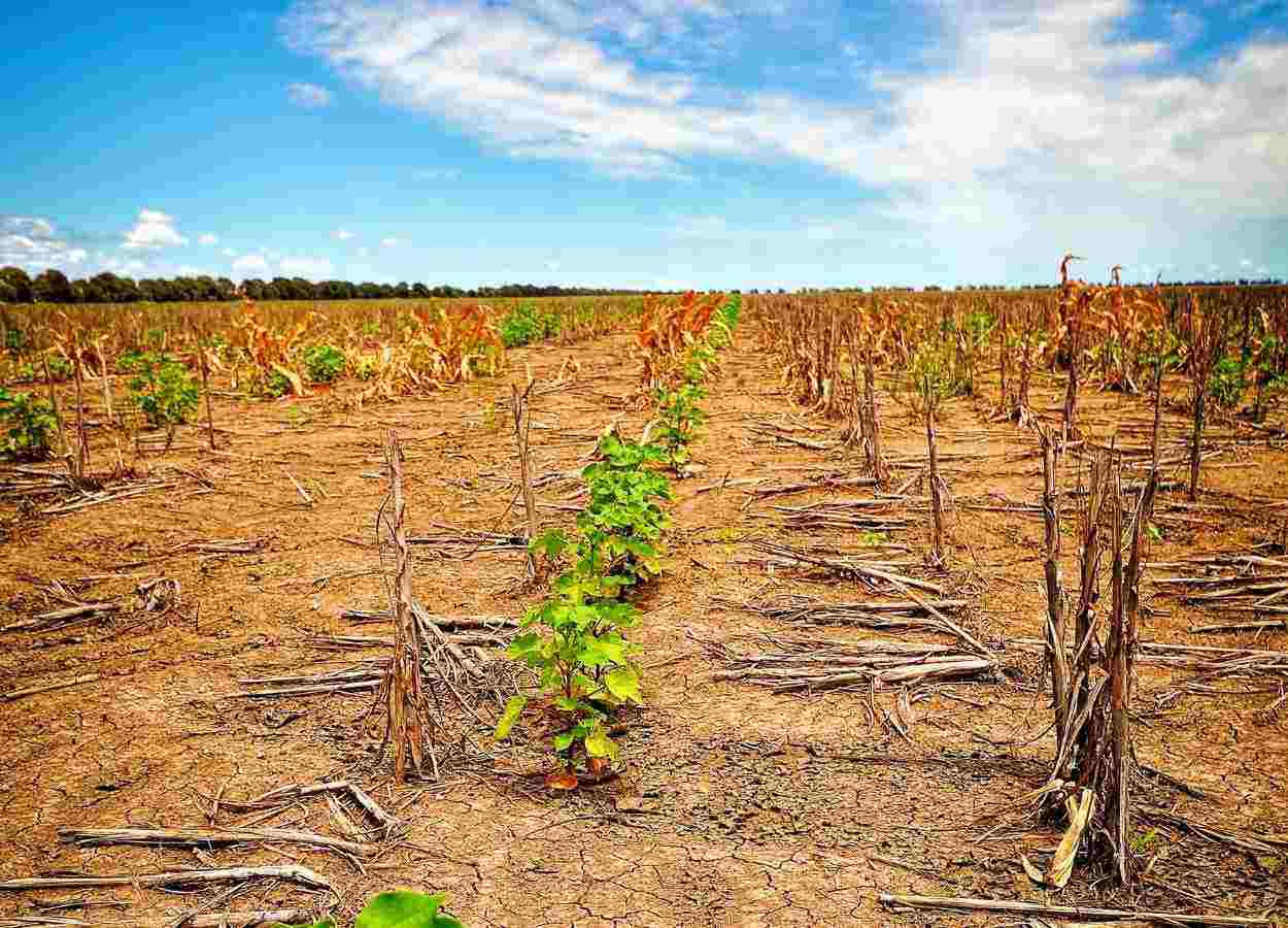 Redução das chuvas em abril eleva risco de perdas no campo