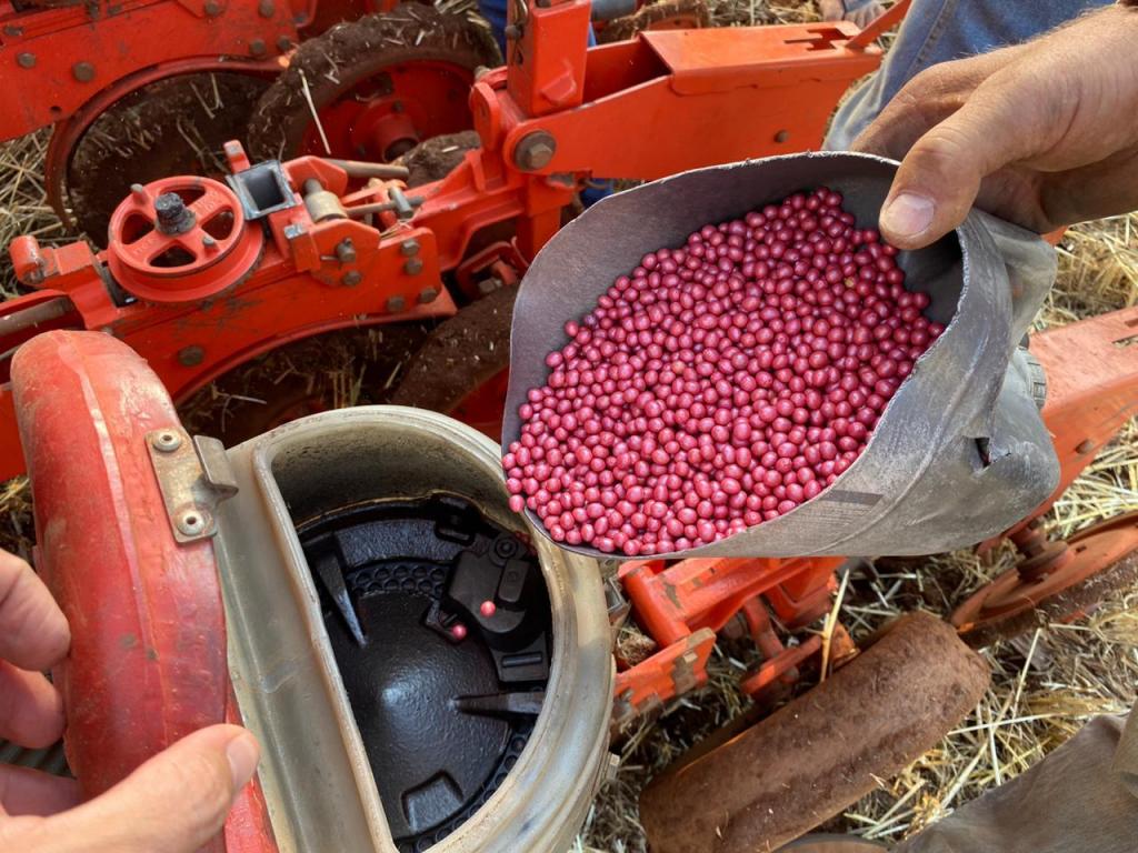 Pioneer apresenta tratamento de sementes industrial para a cultura da soja