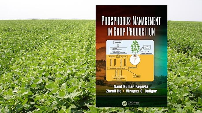 Livro destaca eficiência em adubação fosfatada