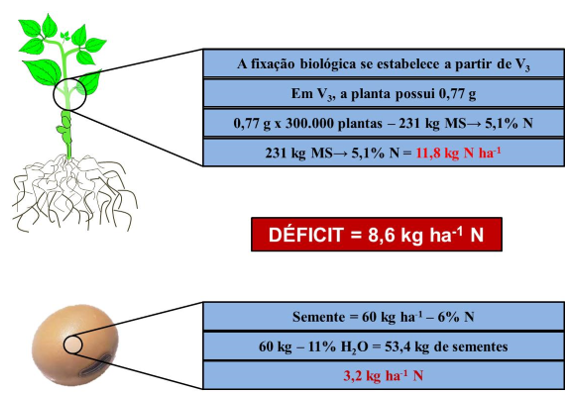 Figura 1. Quantidade de nitrogênio fornecido pela semente e necessidade de plântulas de soja.