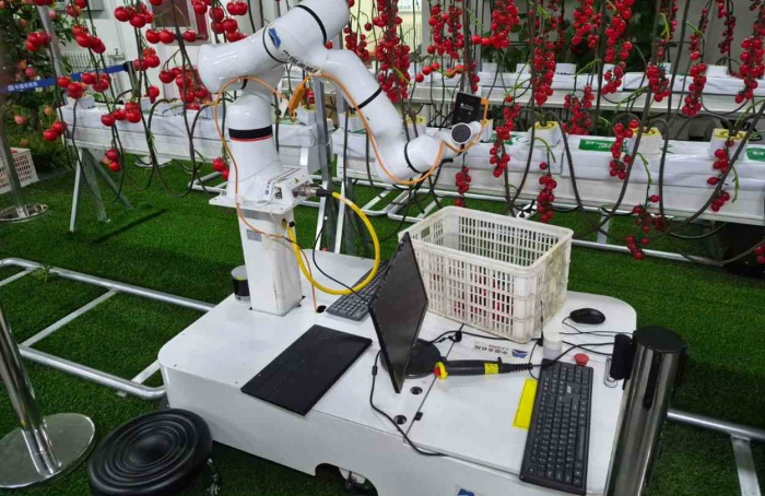 Embrapa e China cooperam para levar IA à agricultura familiar