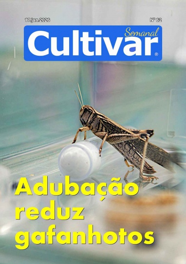 Cultivar Semanal 62