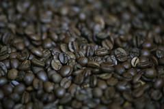 Com exportação recorde, estoques nacionais de café podem recuar