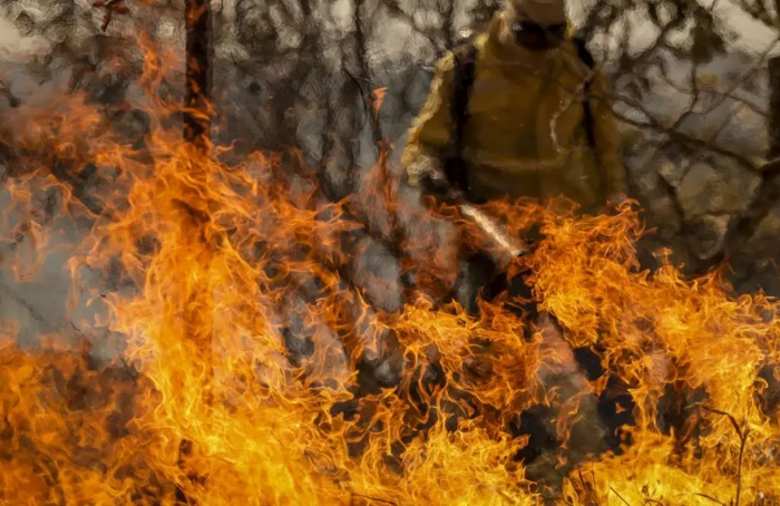 Incêndios em áreas de cana-de-açúcar já somam prejuízos de R$ 800 milhões