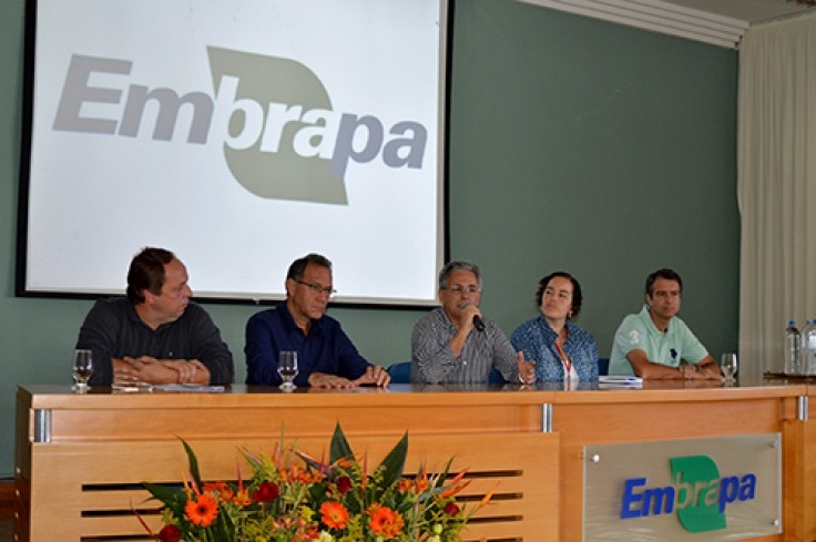 Mudanças climáticas: planejamento e conhecimento técnico são estratégias para produzir com eficiência