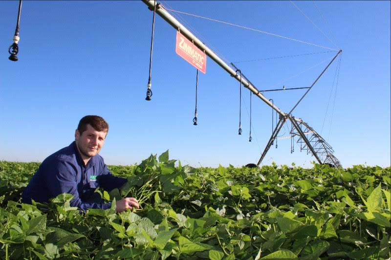 Jovens de três cidades contam porque escolheram investir no setor de agricultura irrigada em Goiás