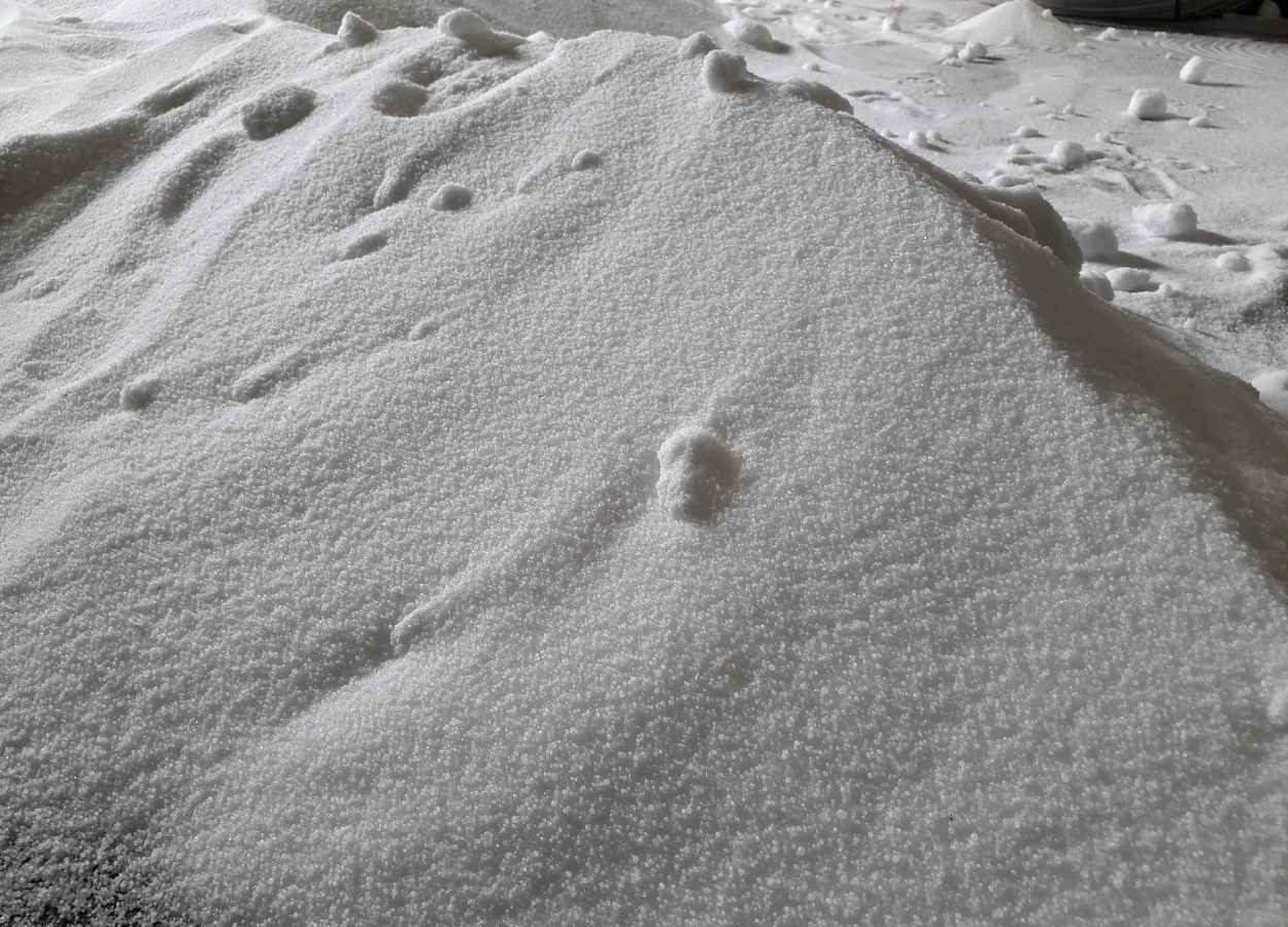 Compradores no Brasil permanecem cautelosos para a safrinha 2025/26