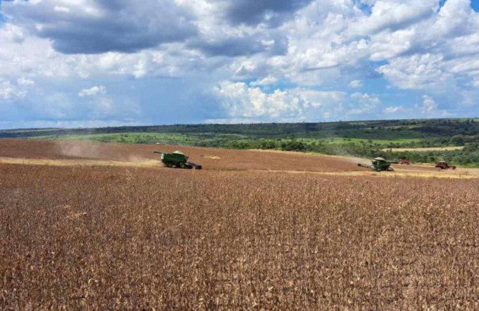 MS Safra 2025/26: nova estimativa eleva safra de soja