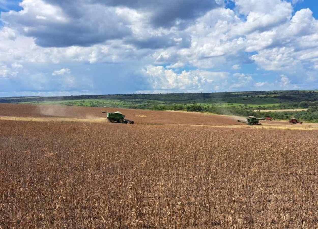 MS Safra 2025/26: nova estimativa eleva safra de soja