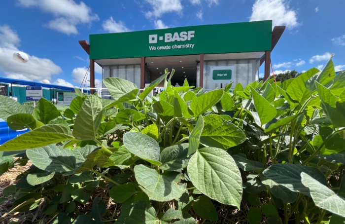BASF Soy Solutions are highlighted at Expodireto Cotrijal