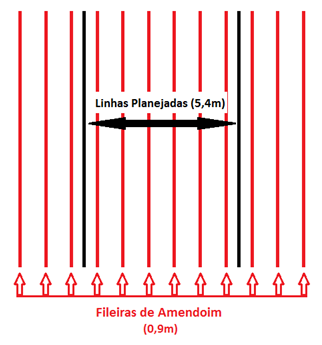 Figura 1 - Esquema representativo das linhas para orientação do conjunto trator-semeadora utilizando piloto automático