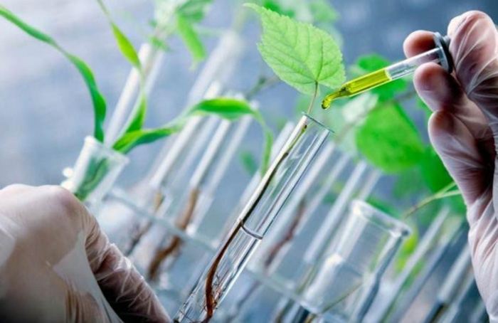 Bioinsumos movimentam R$ 6,2 bilhões e crescem 15% em 2025