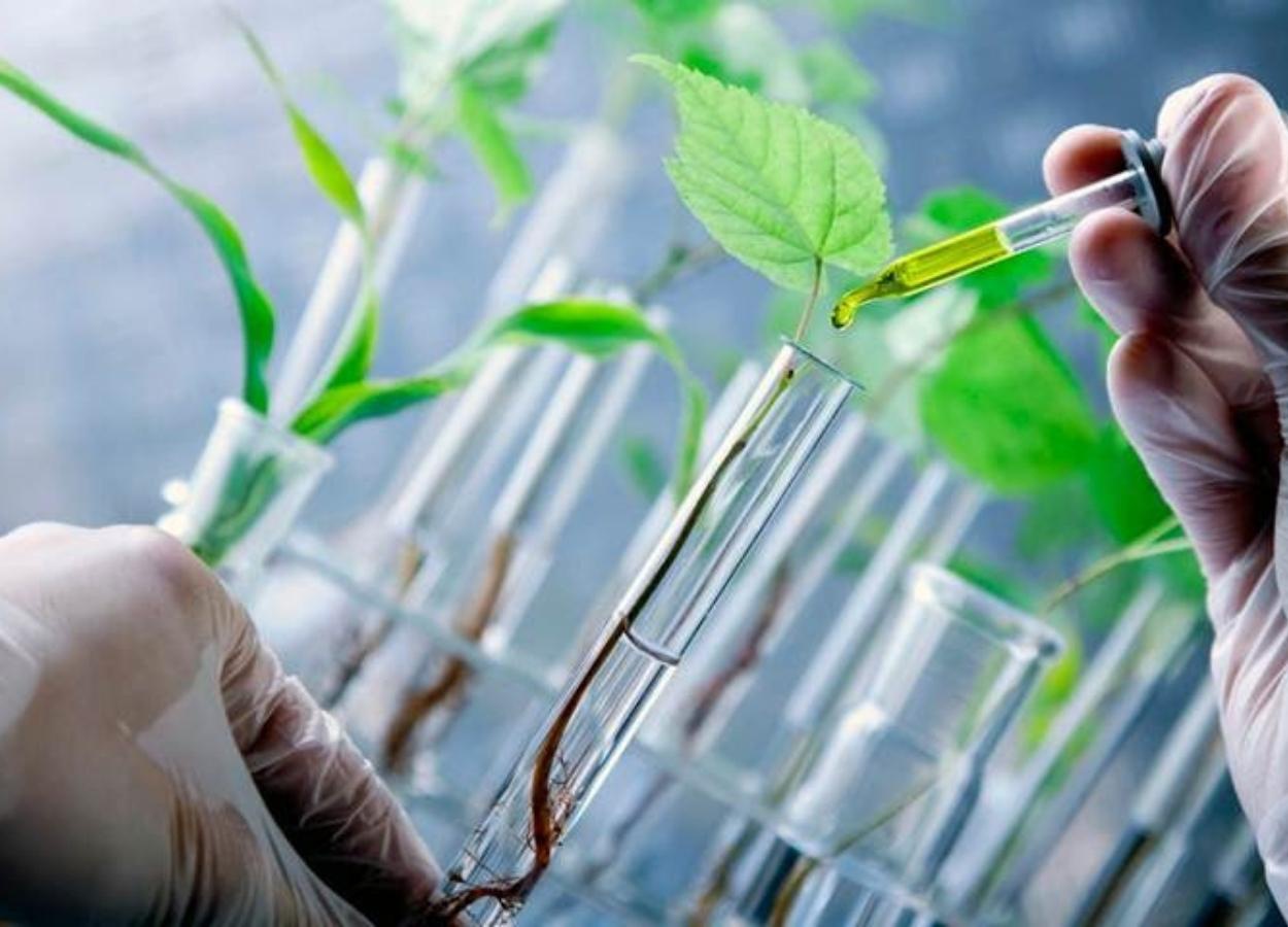 Bioinsumos movimentam R$ 6,2 bilhões e crescem 15% em 2025