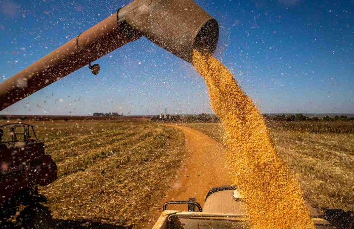 Exportações agroindustriais da Argentina batem recorde em setembro