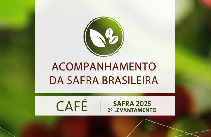 Safra de café 2025 deve bater recorde em ano de baixa bienalidade, diz Conab